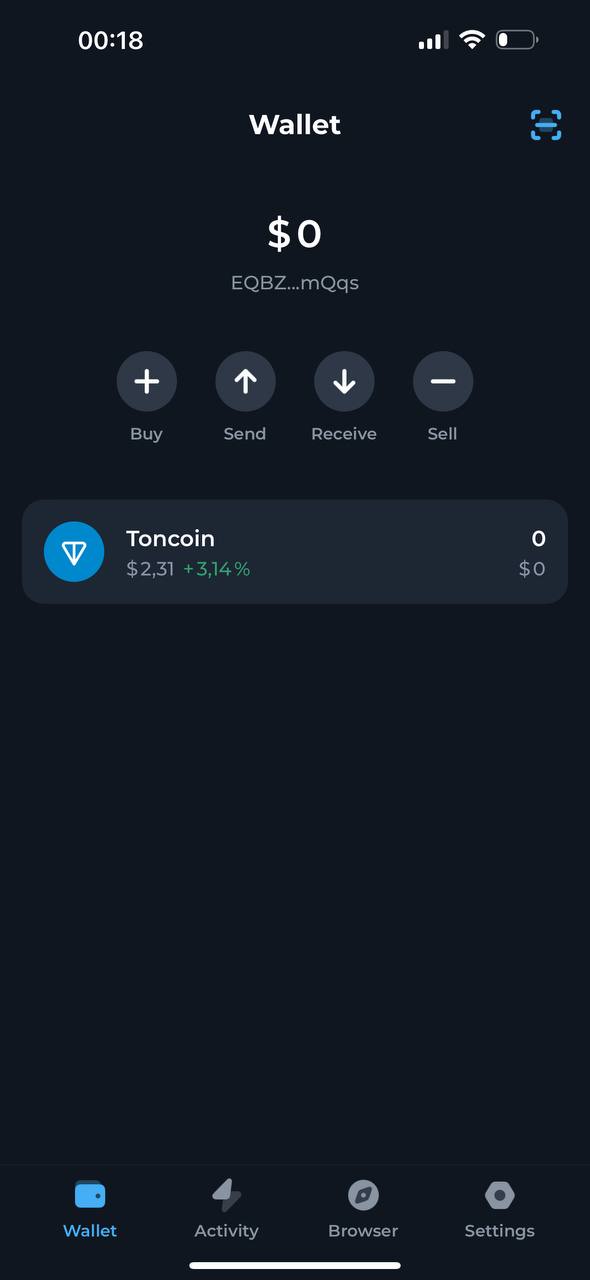 Picture Setting Up and Using Your Initial TON Wallet: An Easy Tutorial 5 | TON app